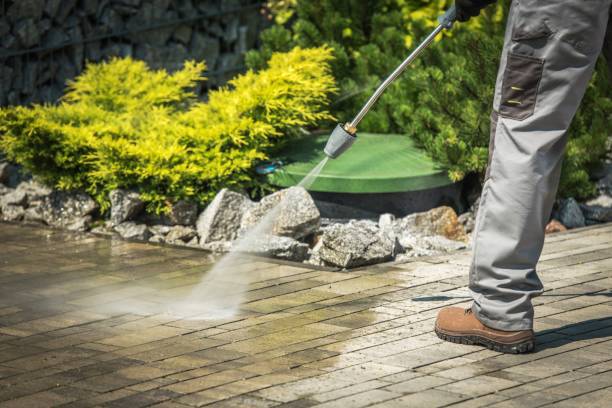 Best Solar Panel Cleaning  in Jim Thorpe, PA
