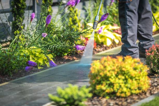 Best Restaurant Pressure Washing  in Jim Thorpe, PA
